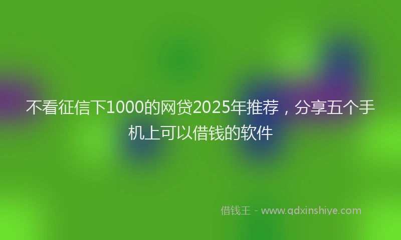 不看征信下1000的网贷2025年推荐，分享五个手机上可以借钱的软件