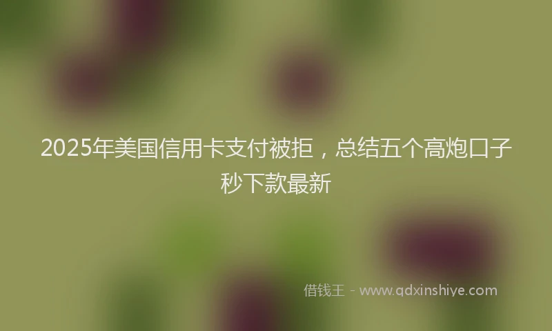 2025年美国信用卡支付被拒，总结五个高炮口子秒下款最新