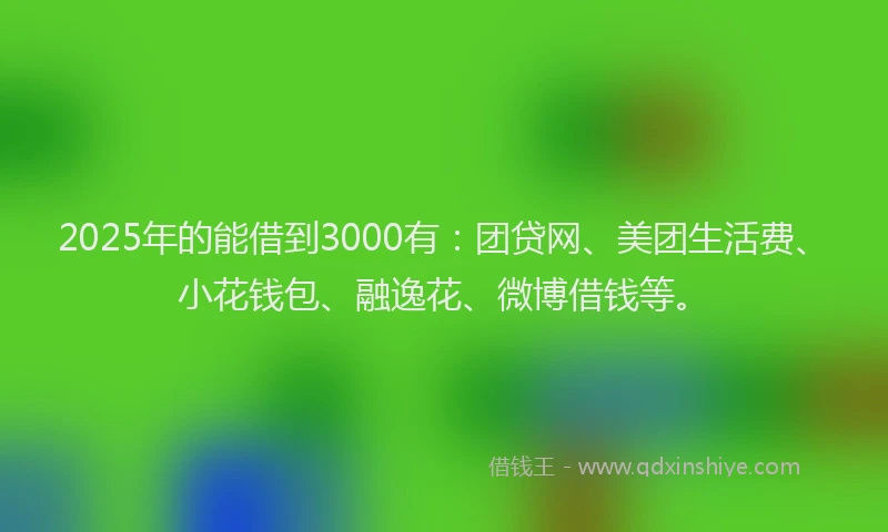 2025年的能借到3000有：团贷网、美团生活费、小花钱包、融逸花、微博借钱等。