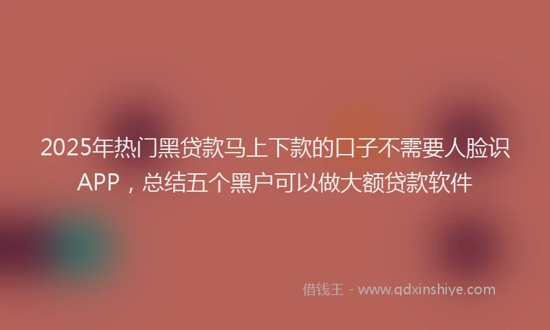 2025年热门黑贷款马上下款的口子不需要人脸识APP，总结五个黑户可以做大额贷款软件