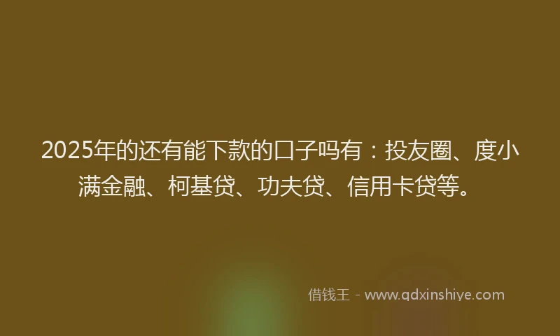 2025年的还有能下款的口子吗有：投友圈、度小满金融、柯基贷、功夫贷、信用卡贷等。
