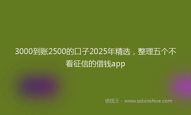 3000到账2500的口子2025年精选，整理五个不看征信的借钱app