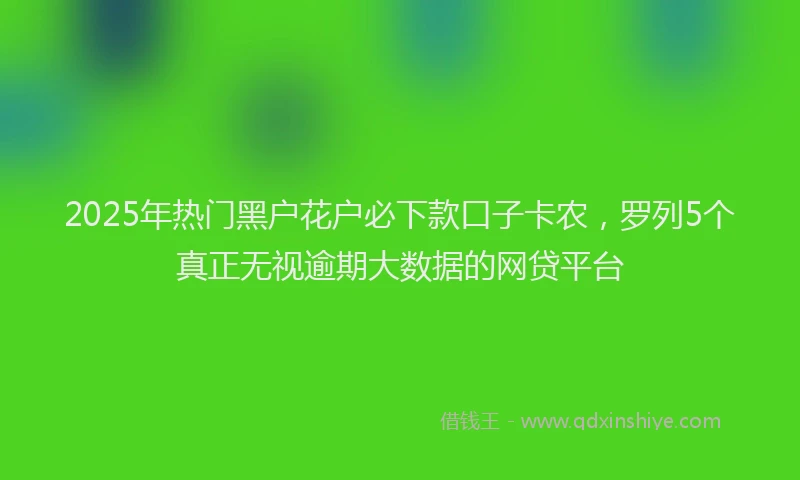 2025年热门黑户花户必下款口子卡农，罗列5个真正无视逾期大数据的网贷平台