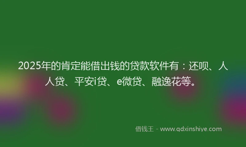 2025年的肯定能借出钱的贷款软件有：还呗、人人贷、平安i贷、e微贷、融逸花等。