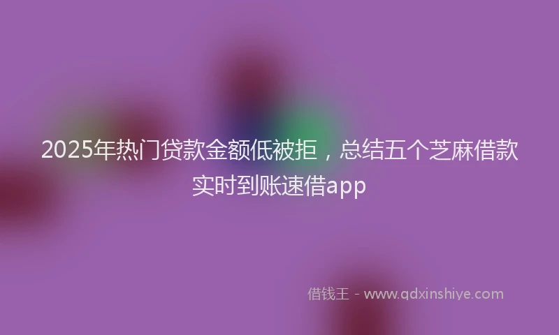2025年热门贷款金额低被拒，总结五个芝麻借款实时到账速借app