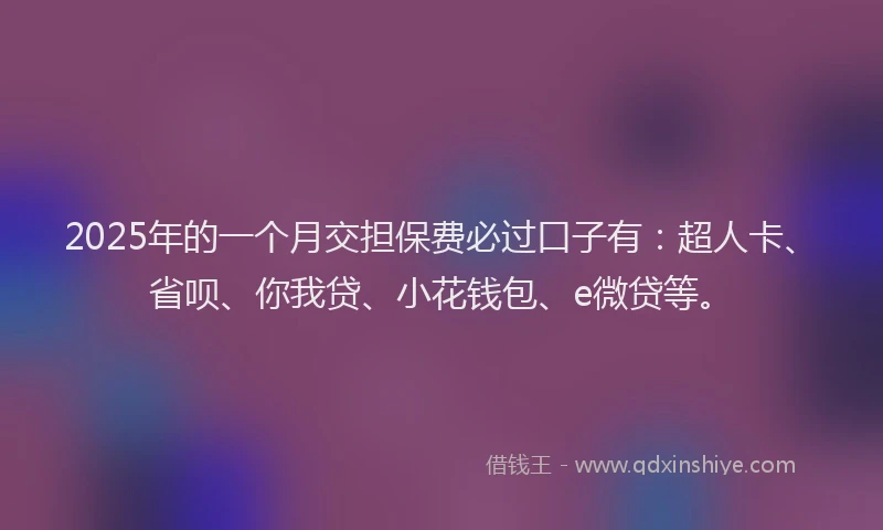 2025年的一个月交担保费必过口子有：超人卡、省呗、你我贷、小花钱包、e微贷等。