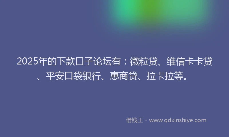 2025年的下款口子论坛有：微粒贷、维信卡卡贷、平安口袋银行、惠商贷、拉卡拉等。