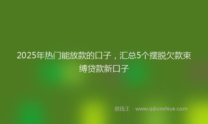 2025年热门能放款的口子，汇总5个摆脱欠款束缚贷款新口子