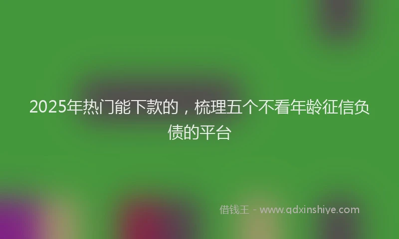 2025年热门能下款的，梳理五个不看年龄征信负债的平台