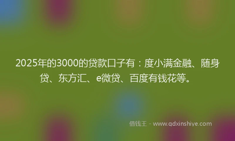 2025年的3000的贷款口子有：度小满金融、随身贷、东方汇、e微贷、百度有钱花等。