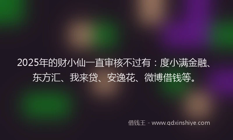 2025年的财小仙一直审核不过有：度小满金融、东方汇、我来贷、安逸花、微博借钱等。