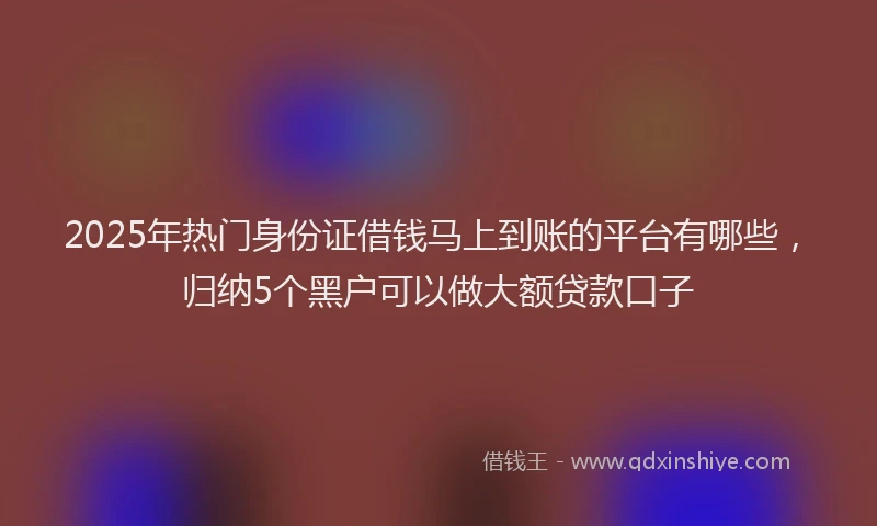 2025年热门身份证借钱马上到账的平台有哪些，归纳5个黑户可以做大额贷款口子