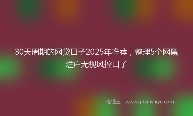 30天周期的网贷口子2025年推荐，整理5个网黑烂户无视风控口子