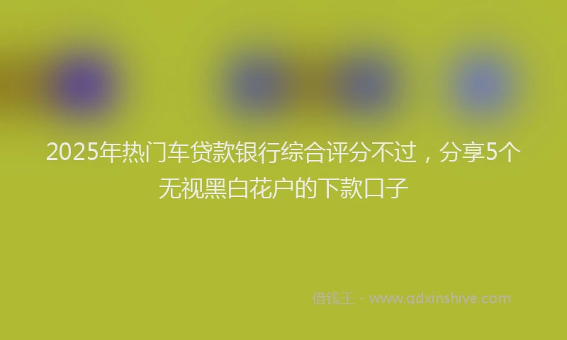 2025年热门车贷款银行综合评分不过，分享5个无视黑白花户的下款口子