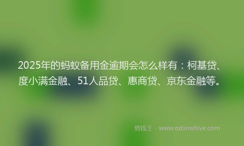 2025年的蚂蚁备用金逾期会怎么样有：柯基贷、度小满金融、51人品贷、惠商贷、京东金融等。