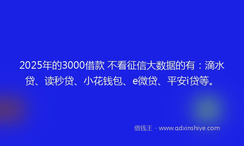 2025年的3000借款 不看征信大数据的有：滴水贷、读秒贷、小花钱包、e微贷、平安i贷等。