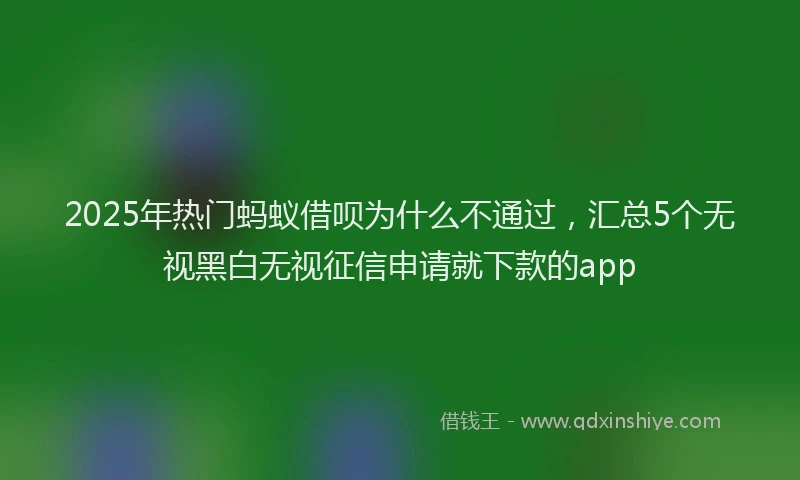2025年热门蚂蚁借呗为什么不通过，汇总5个无视黑白无视征信申请就下款的app