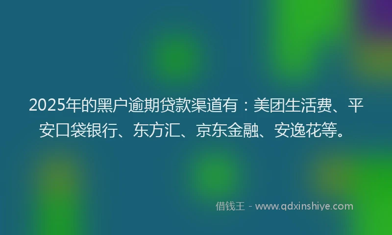 2025年的黑户逾期贷款渠道有：美团生活费、平安口袋银行、东方汇、京东金融、安逸花等。