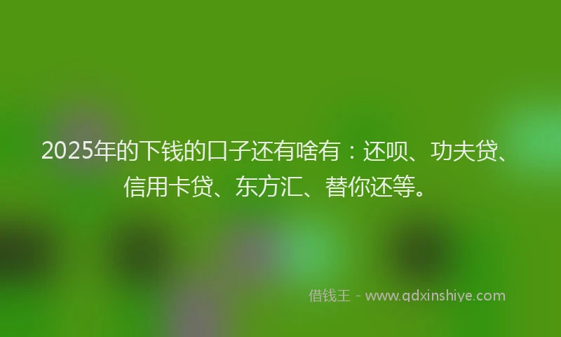 2025年的下钱的口子还有啥有：还呗、功夫贷、信用卡贷、东方汇、替你还等。