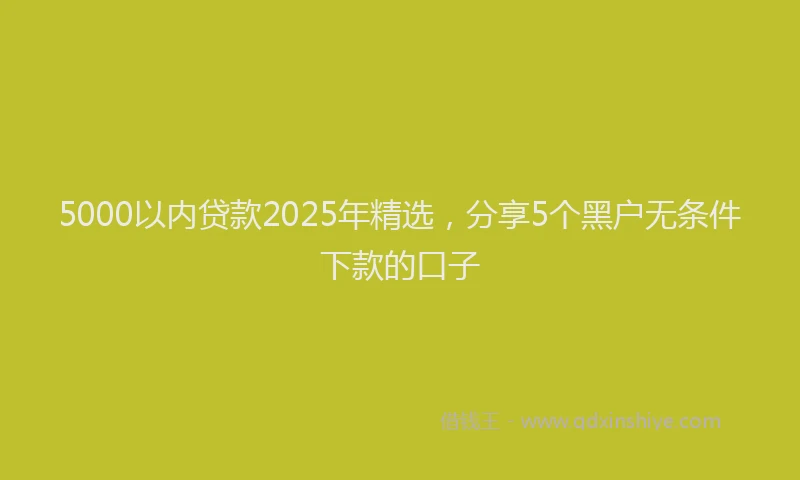 5000以内贷款2025年精选，分享5个黑户无条件下款的口子