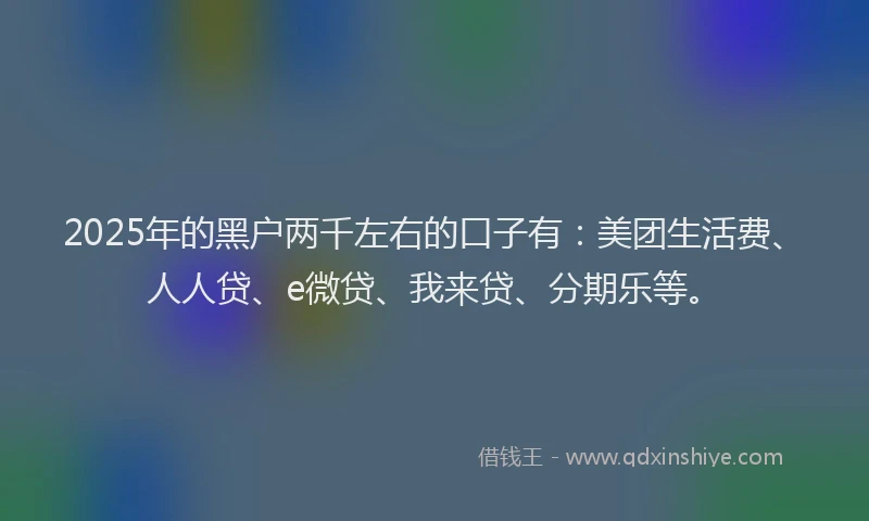 2025年的黑户两千左右的口子有：美团生活费、人人贷、e微贷、我来贷、分期乐等。