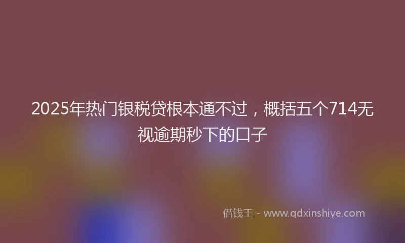 2025年热门银税贷根本通不过，概括五个714无视逾期秒下的口子