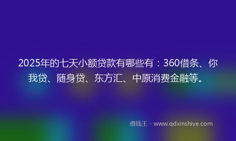 2025年的七天小额贷款有哪些有：360借条、你我贷、随身贷、东方汇、中原消费金融等。