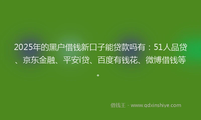 2025年的黑户借钱新口子能贷款吗有：51人品贷、京东金融、平安i贷、百度有钱花、微博借钱等。