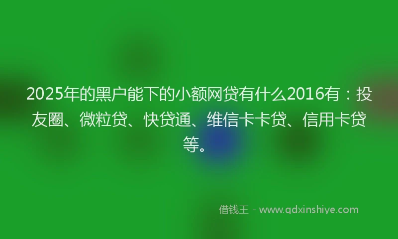 2025年的黑户能下的小额网贷有什么2016有：投友圈、微粒贷、快贷通、维信卡卡贷、信用卡贷等。