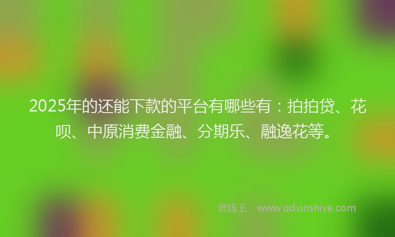2025年的还能下款的平台有哪些有：拍拍贷、花呗、中原消费金融、分期乐、融逸花等。