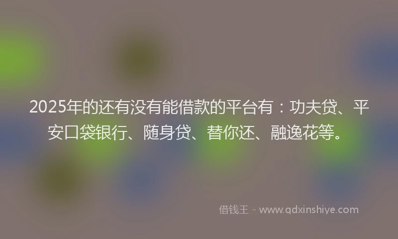 2025年的还有没有能借款的平台有：功夫贷、平安口袋银行、随身贷、替你还、融逸花等。