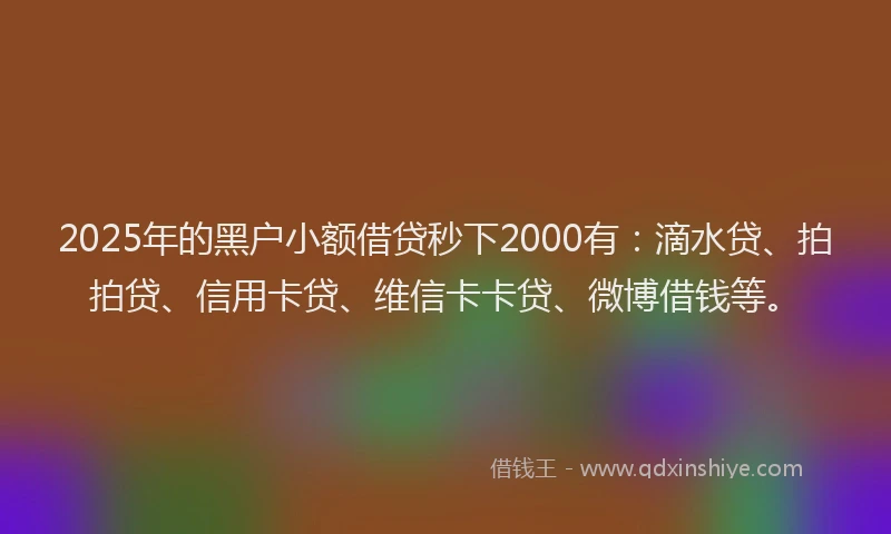 2025年的黑户小额借贷秒下2000有：滴水贷、拍拍贷、信用卡贷、维信卡卡贷、微博借钱等。