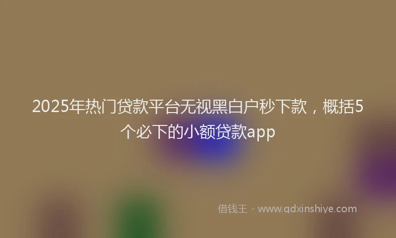 2025年热门贷款平台无视黑白户秒下款，概括5个必下的小额贷款app
