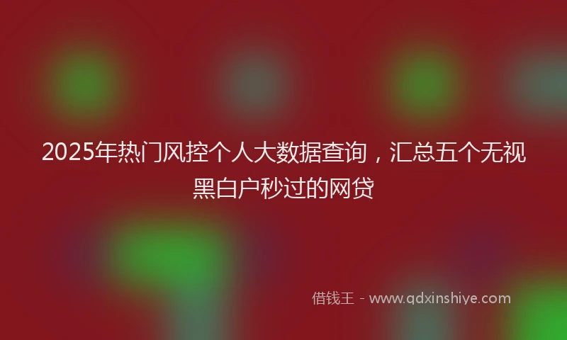 2025年热门风控个人大数据查询，汇总五个无视黑白户秒过的网贷