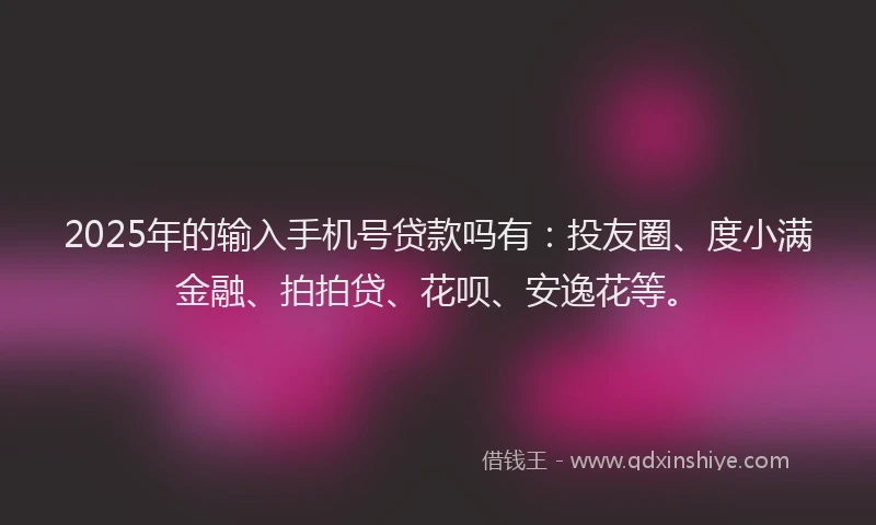 2025年的输入手机号贷款吗有：投友圈、度小满金融、拍拍贷、花呗、安逸花等。