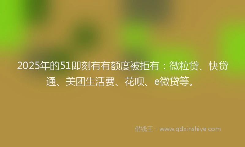 2025年的51即刻有有额度被拒有：微粒贷、快贷通、美团生活费、花呗、e微贷等。