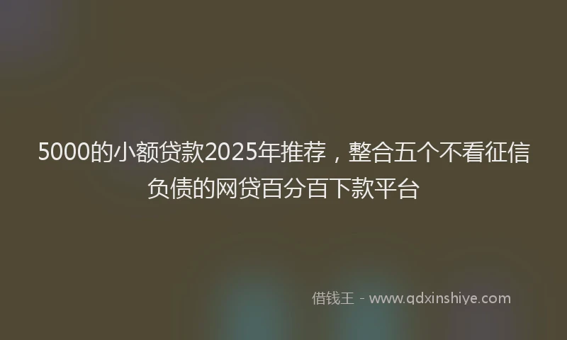5000的小额贷款2025年推荐，整合五个不看征信负债的网贷百分百下款平台