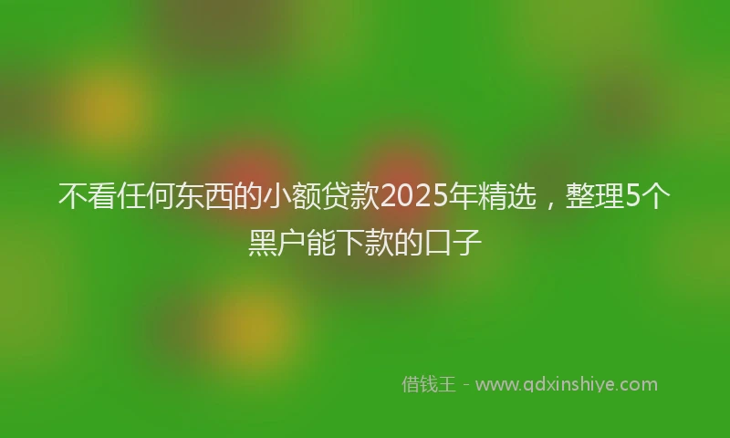 不看任何东西的小额贷款2025年精选，整理5个黑户能下款的口子