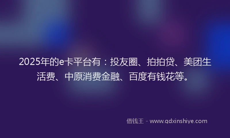 2025年的e卡平台有：投友圈、拍拍贷、美团生活费、中原消费金融、百度有钱花等。