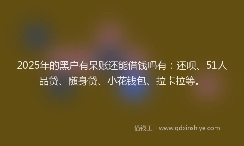 2025年的黑户有呆账还能借钱吗有：还呗、51人品贷、随身贷、小花钱包、拉卡拉等。