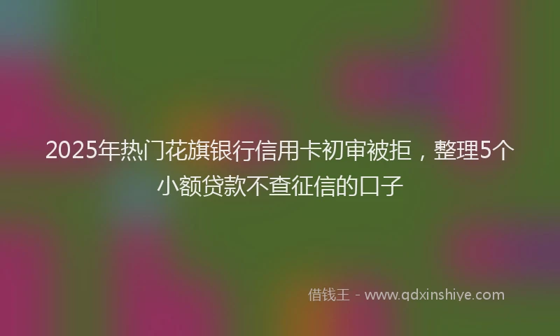2025年热门花旗银行信用卡初审被拒，整理5个小额贷款不查征信的口子
