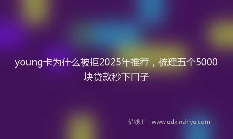 young卡为什么被拒2025年推荐，梳理五个5000块贷款秒下口子