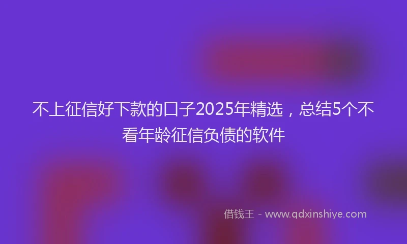 不上征信好下款的口子2025年精选，总结5个不看年龄征信负债的软件
