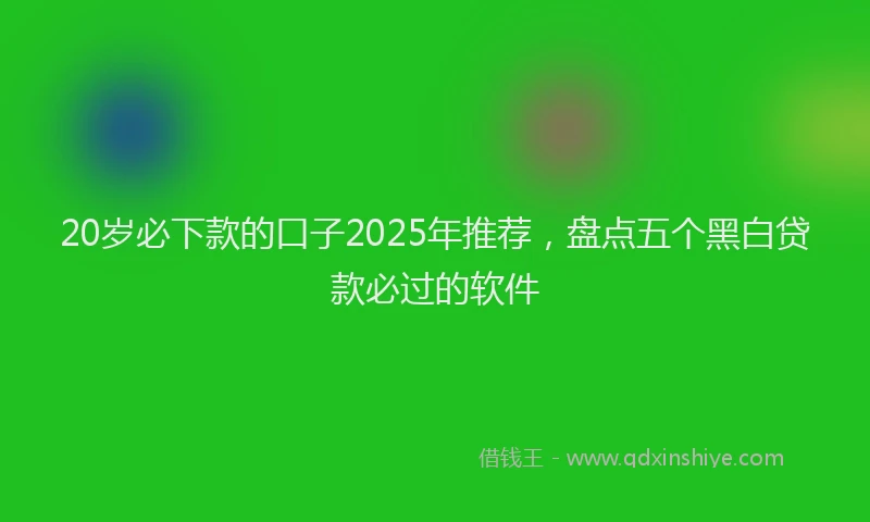 20岁必下款的口子2025年推荐，盘点五个黑白贷款必过的软件