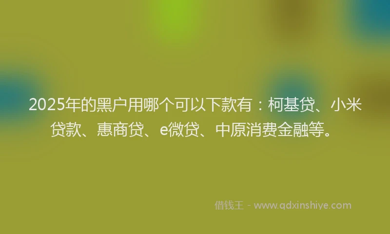 2025年的黑户用哪个可以下款有：柯基贷、小米贷款、惠商贷、e微贷、中原消费金融等。