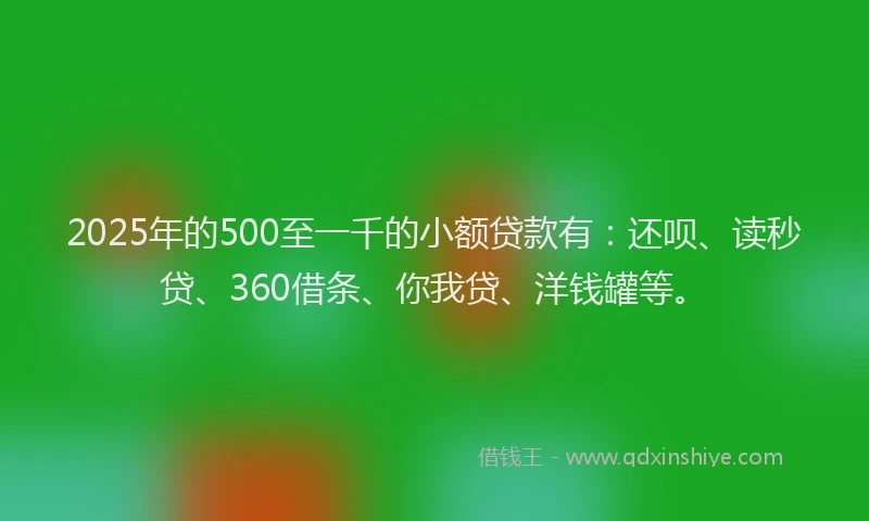 2025年的500至一千的小额贷款有：还呗、读秒贷、360借条、你我贷、洋钱罐等。