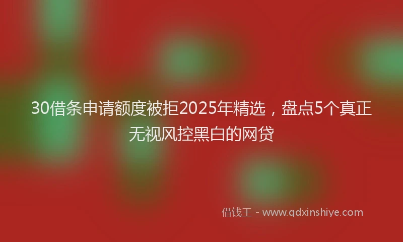 30借条申请额度被拒2025年精选，盘点5个真正无视风控黑白的网贷