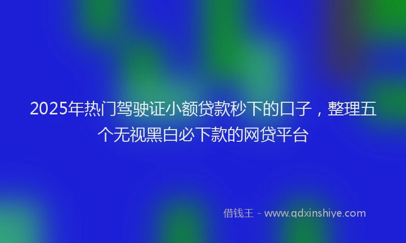 2025年热门驾驶证小额贷款秒下的口子，整理五个无视黑白必下款的网贷平台