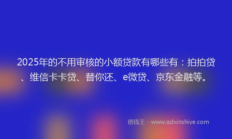 2025年的不用审核的小额贷款有哪些有：拍拍贷、维信卡卡贷、替你还、e微贷、京东金融等。
