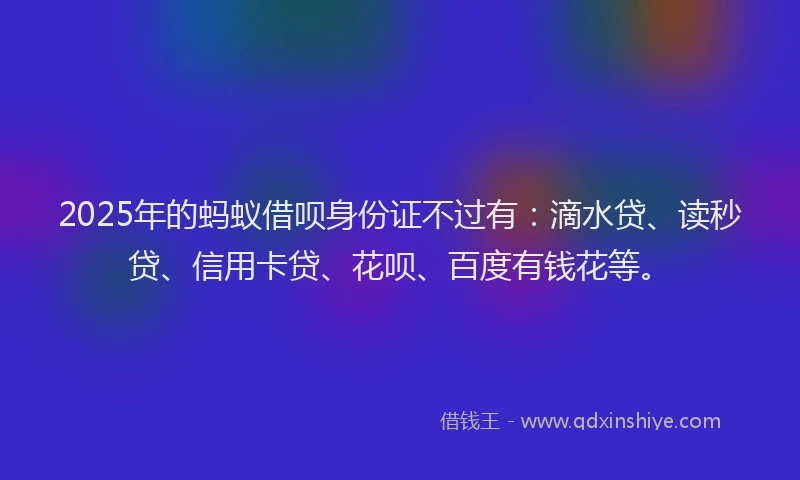 2025年的蚂蚁借呗身份证不过有：滴水贷、读秒贷、信用卡贷、花呗、百度有钱花等。